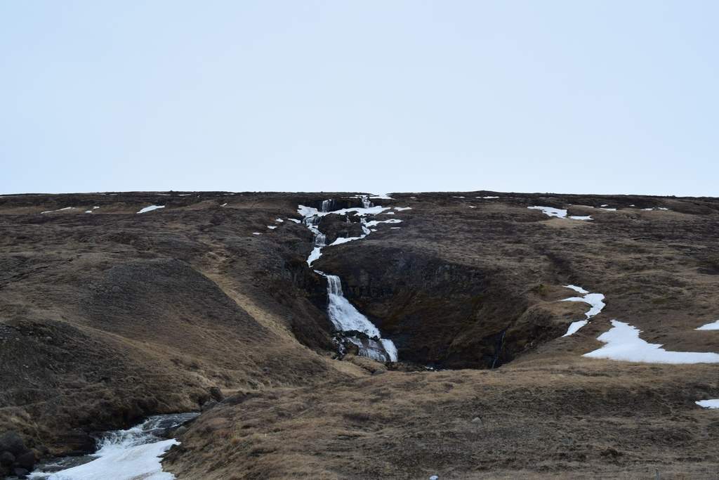 DSC_2886