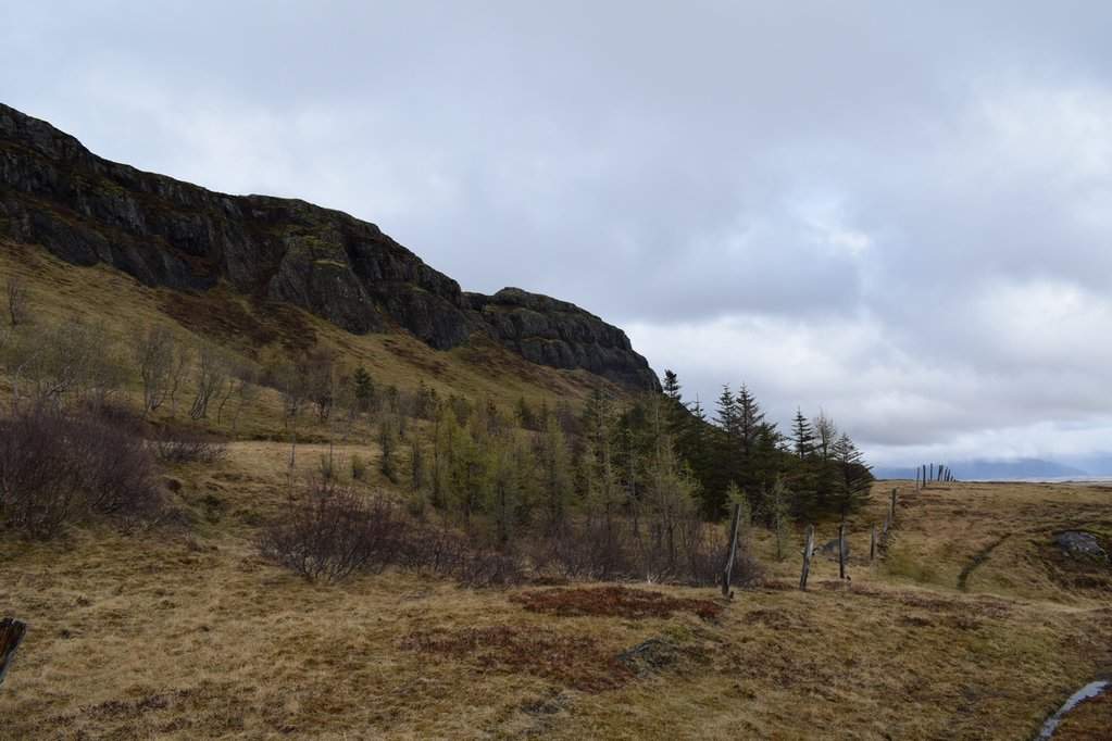 DSC_3368