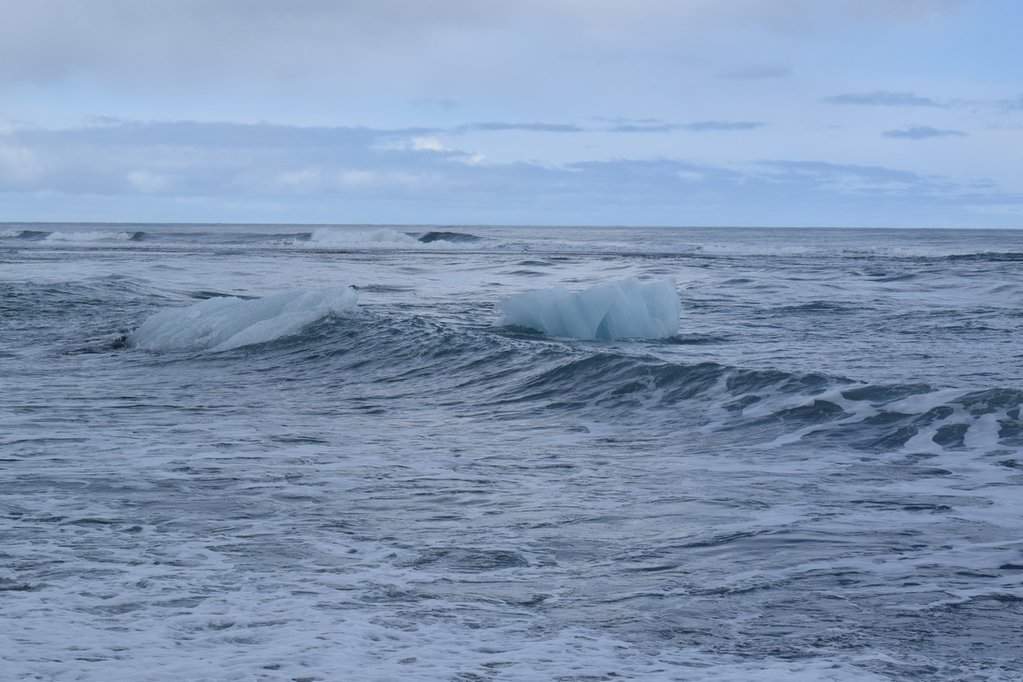 DSC_3463