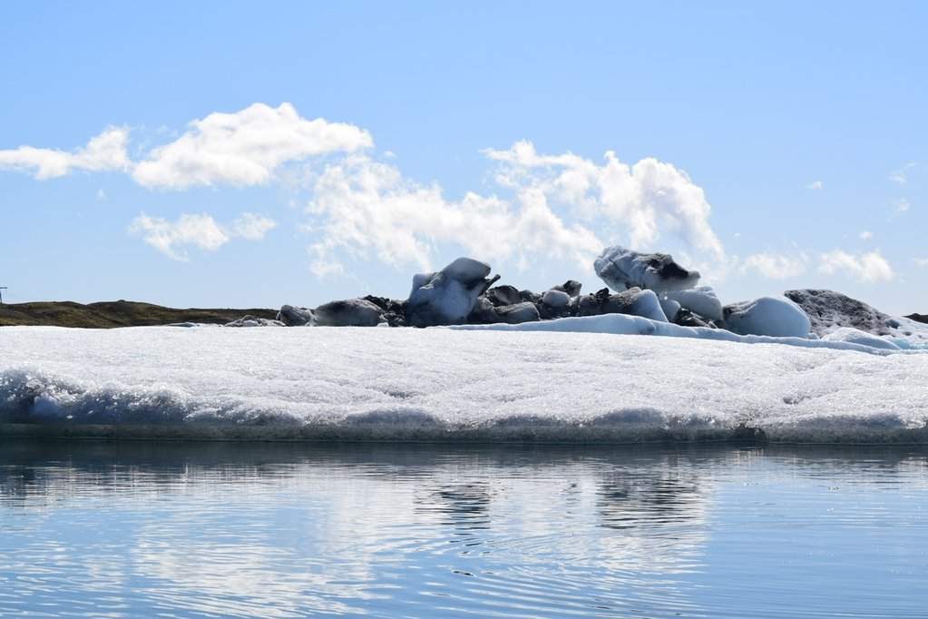 DSC_3504