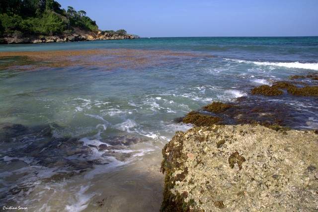 DSC_3519a (Copiar)
