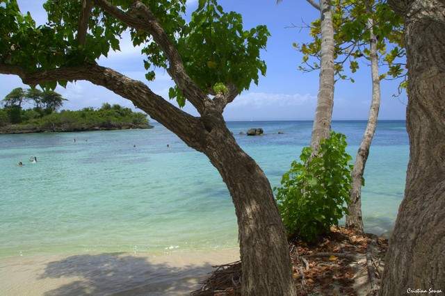 DSC_3628a (Copiar)