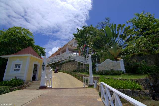 DSC_3825a (Copiar)