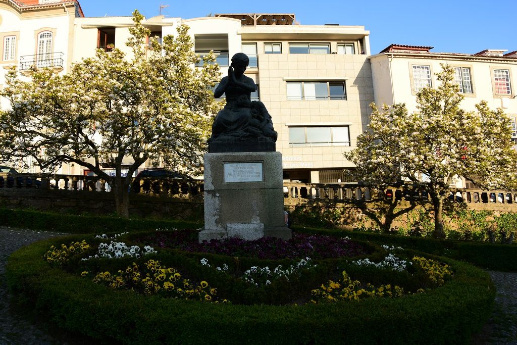 DSC_7555 (Copiar).JPG