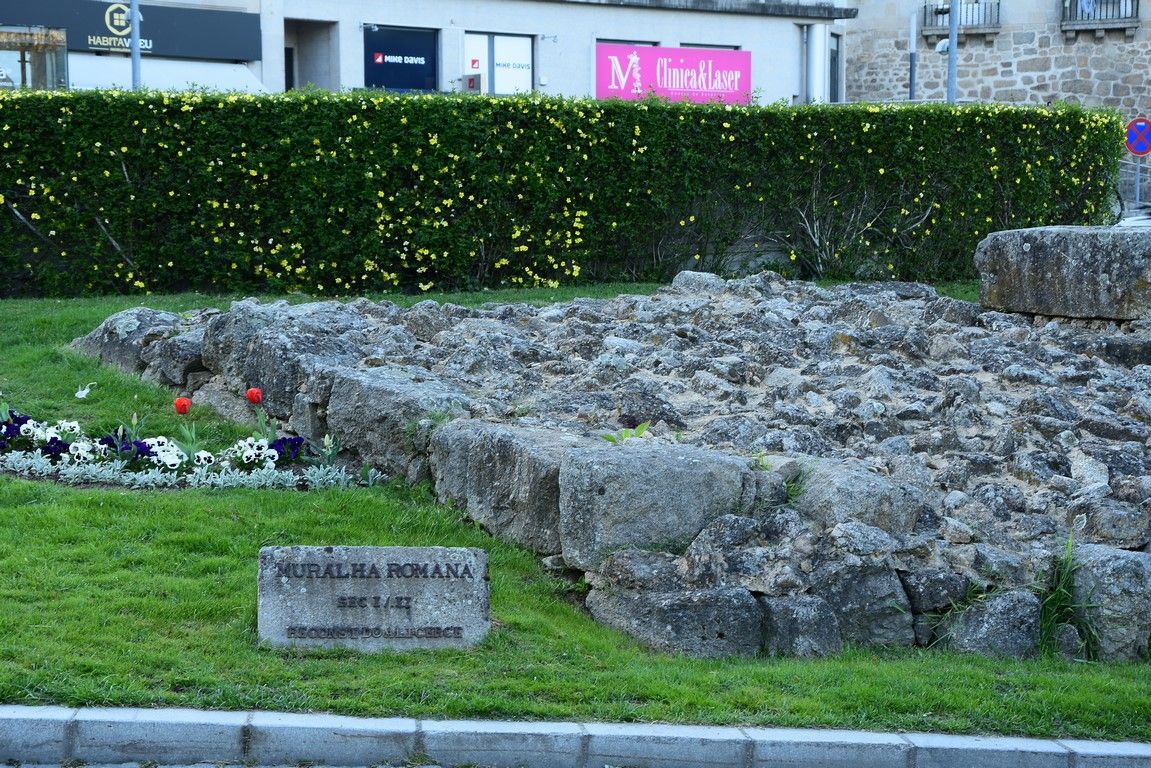 DSC_7571 (Copiar).JPG