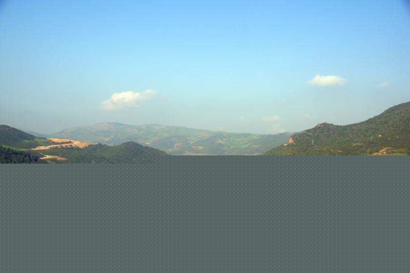 DSC_8663a.jpg