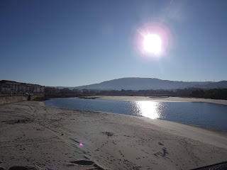 DSCF0184