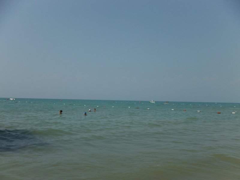 DSCF0384