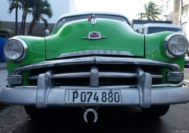 DSCF0453