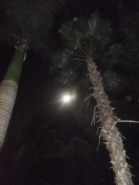 DSCF0539