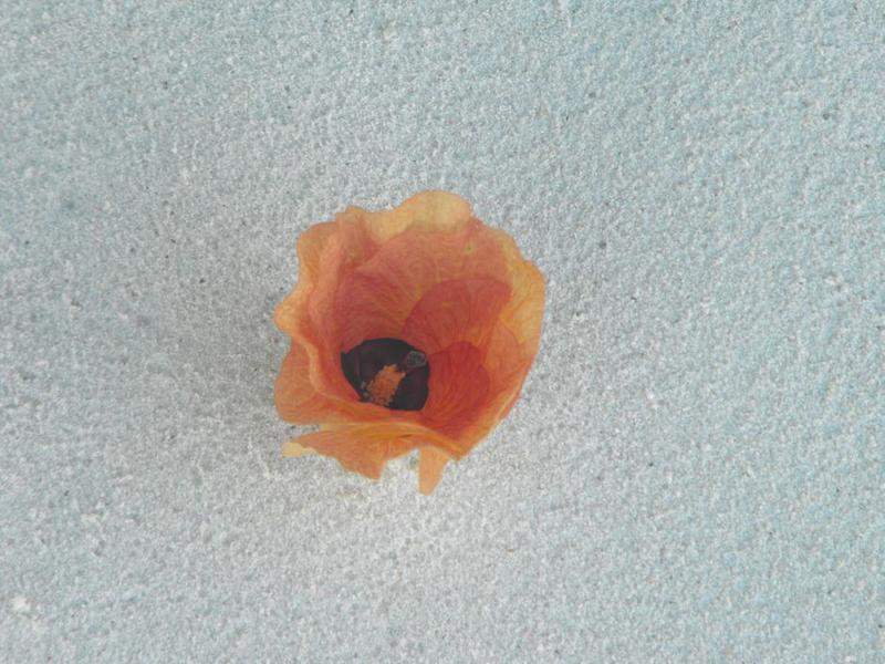 DSCF0582