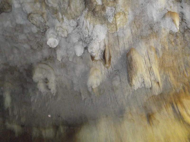 DSCF0585