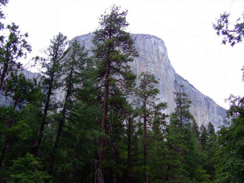 DSCF0666