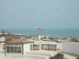 DSCF0876 (Cópia)