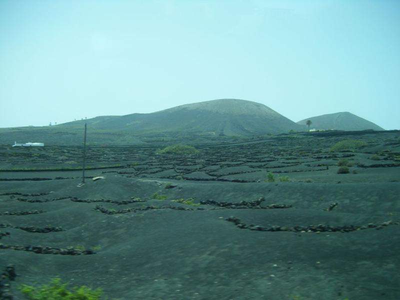 DSCF0910