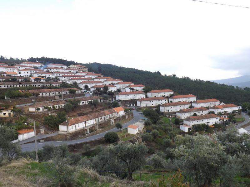 DSCF0990