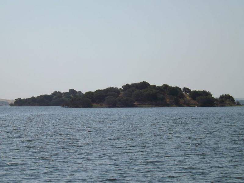 DSCF1053
