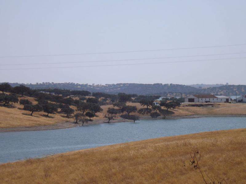 DSCF1377