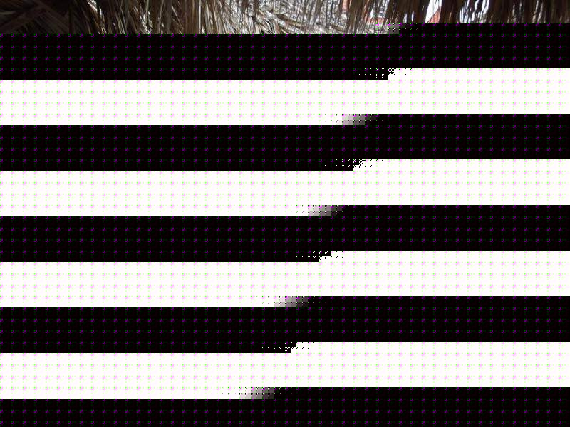 DSCF1740