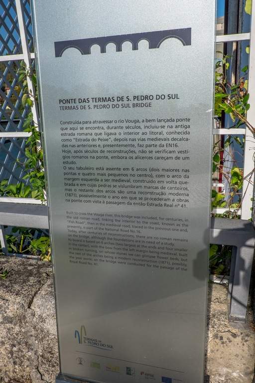DSCF1816 (Copiar)