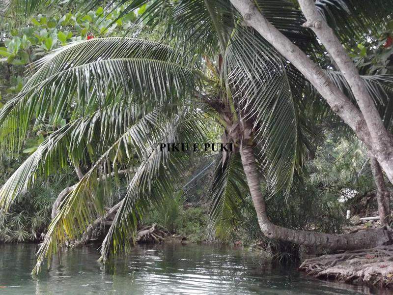 DSCF2062.JPG