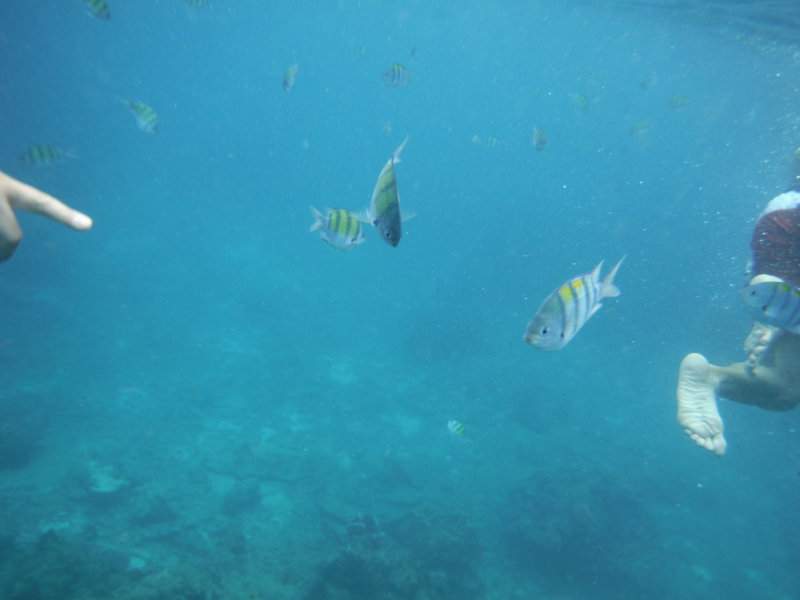 DSCF2672