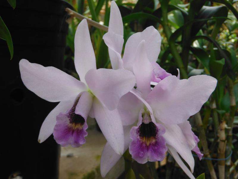 DSCF3673.JPG