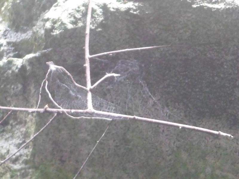 DSCF3706.JPG