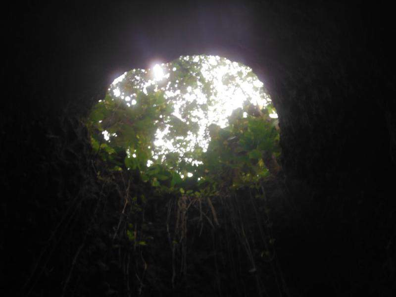 DSCF3747.JPG