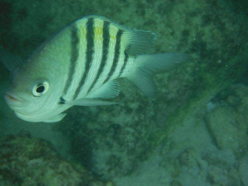 DSCF3761.JPG