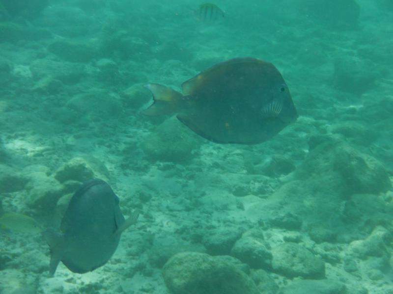 DSCF3774.JPG