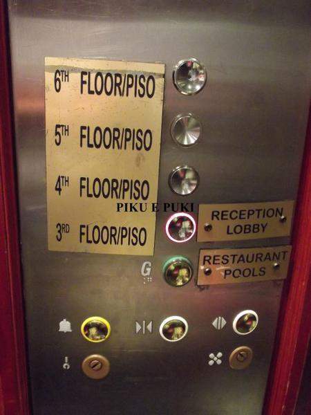 DSCF3850.JPG