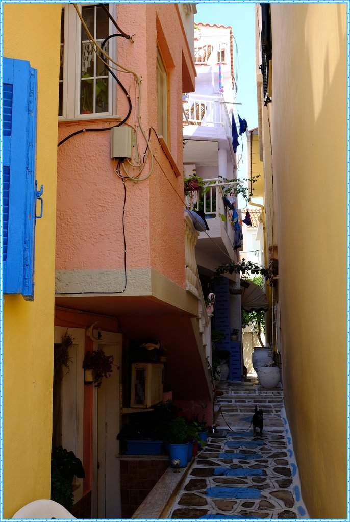 DSCF4175