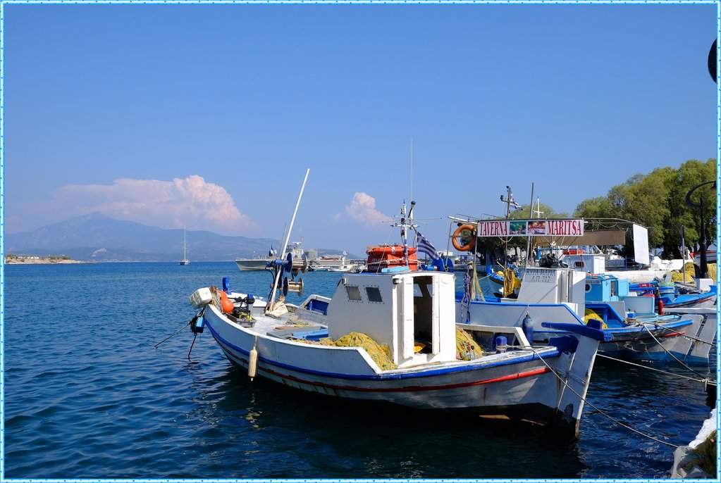 DSCF4315