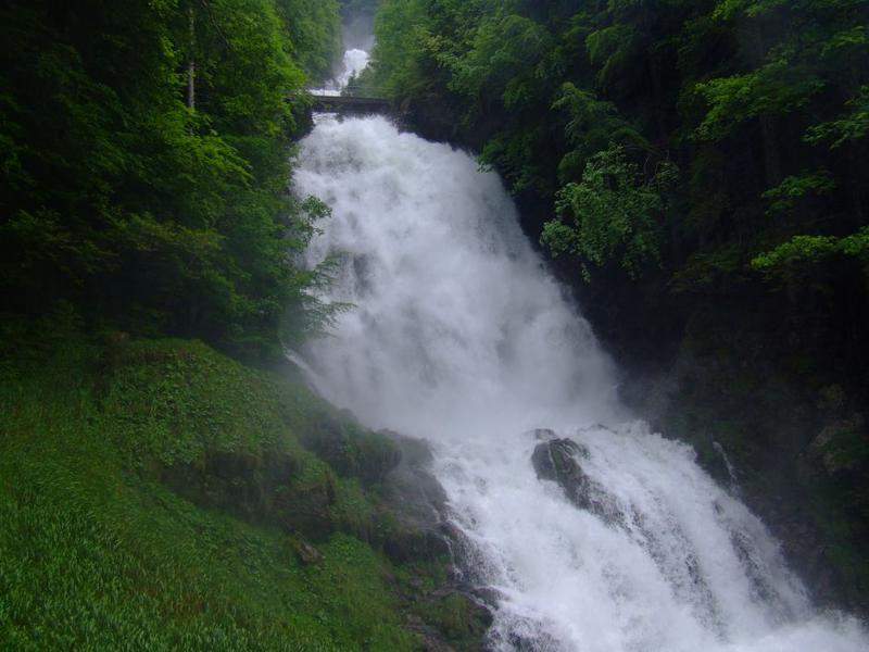 DSCF6585.JPG