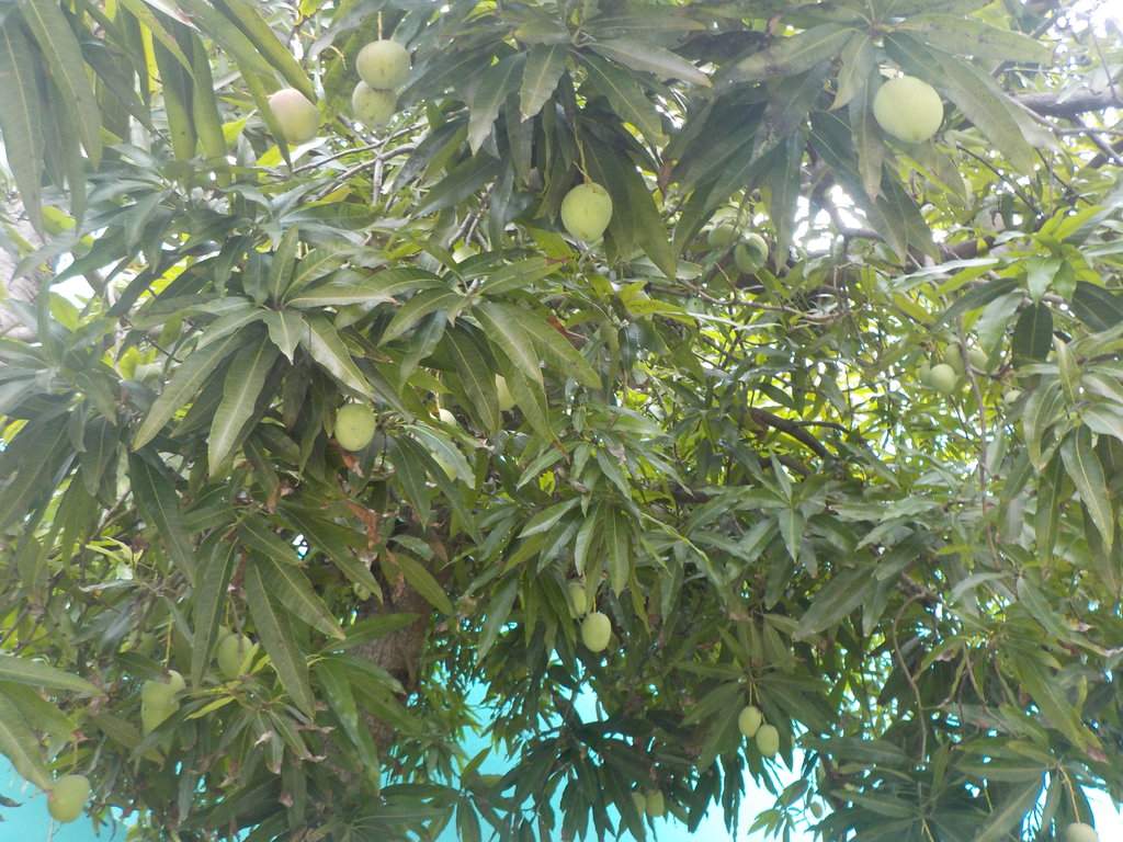 DSCN0053