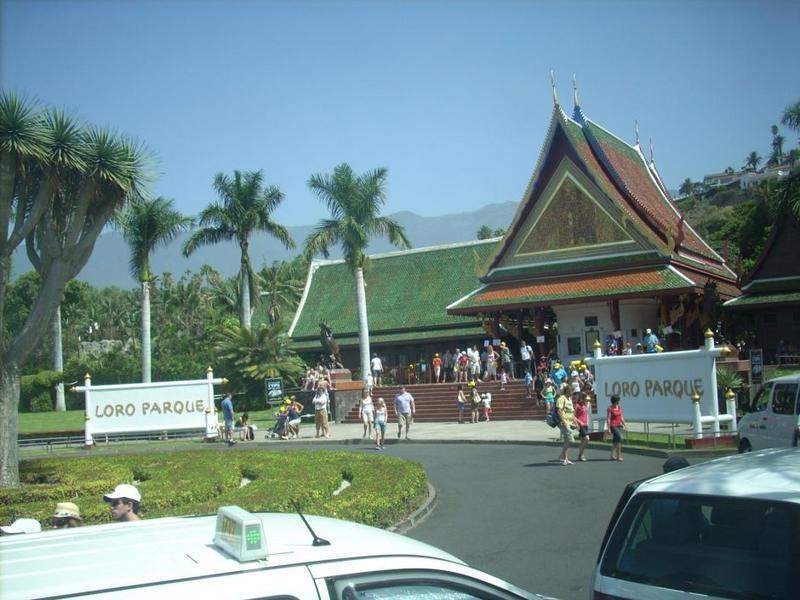 DSCN0102.JPG