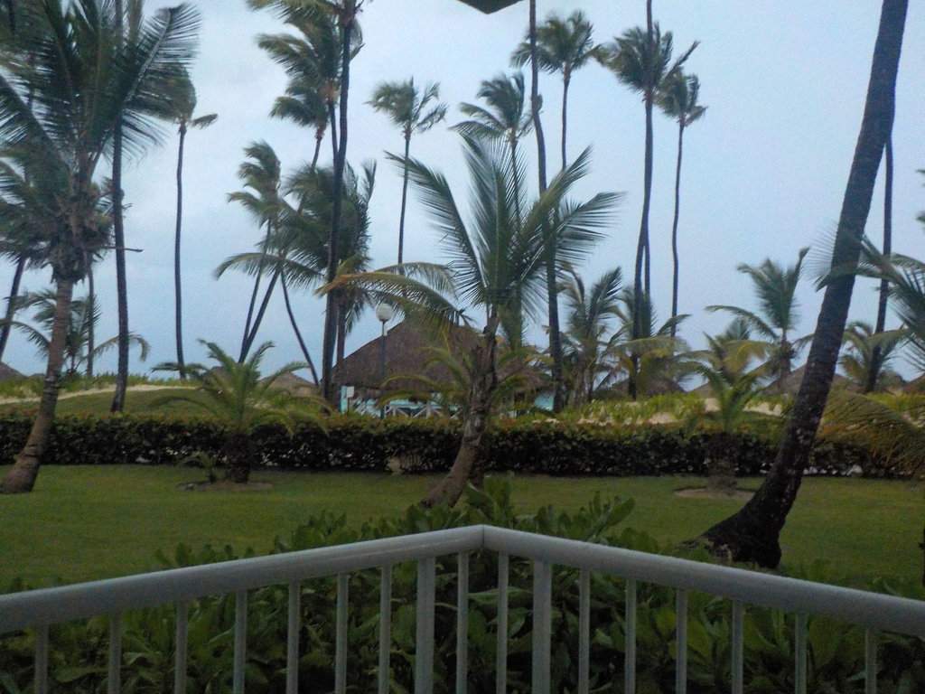 DSCN0356