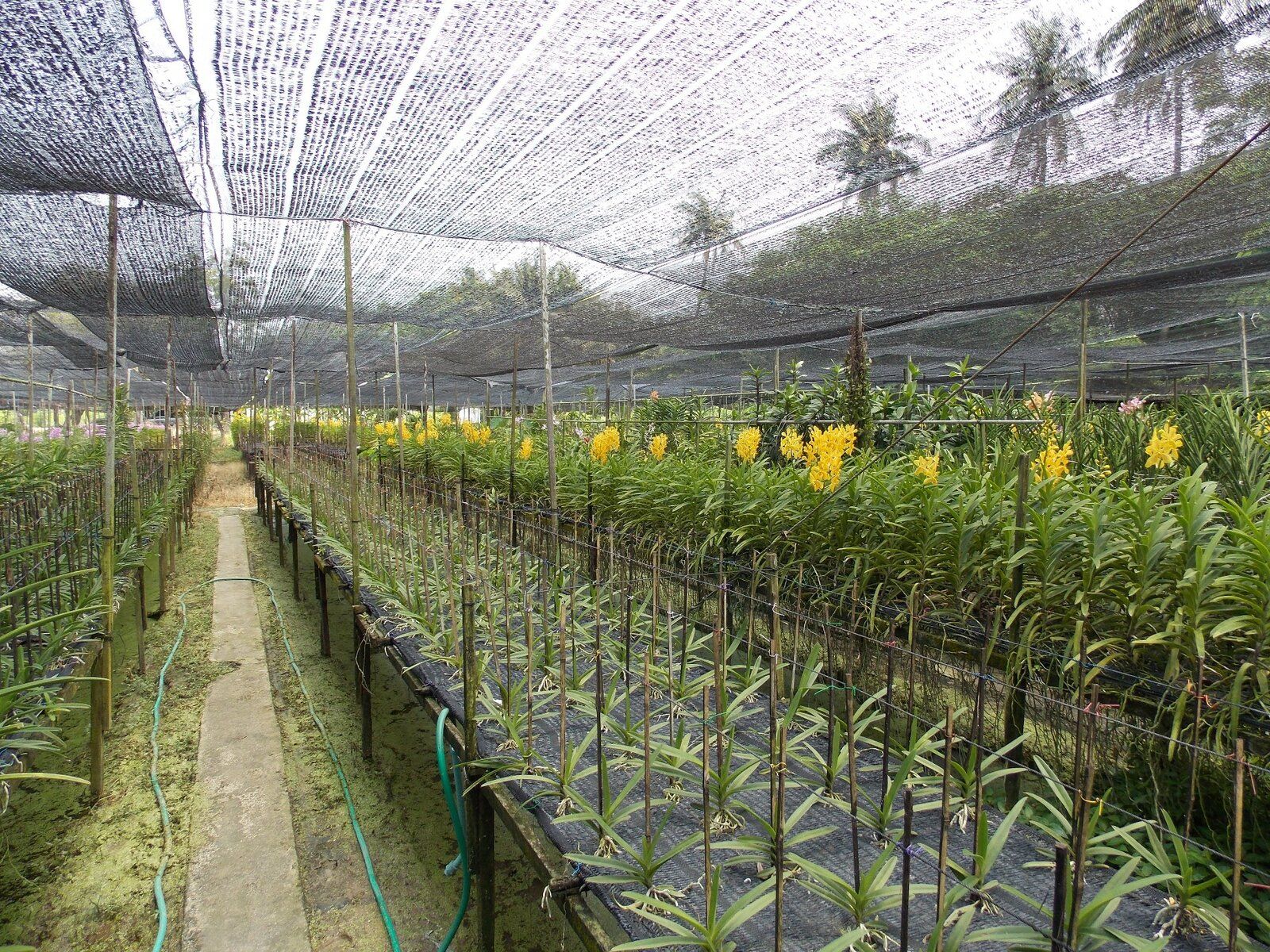 DSCN0400.JPG