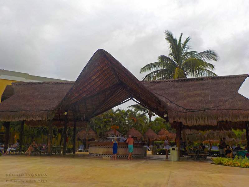 DSCN0401