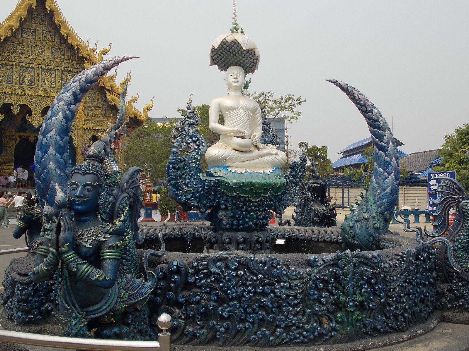 DSCN0600.JPG