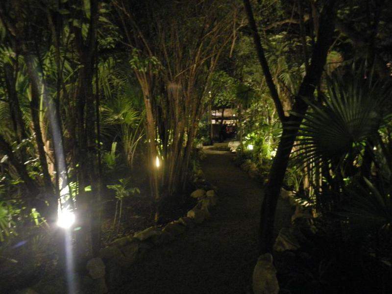 DSCN0712