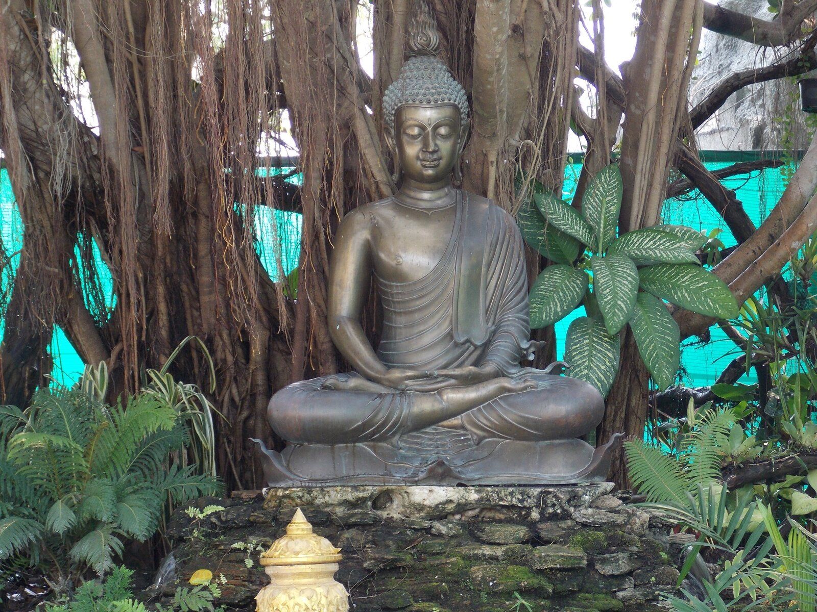 DSCN0734.JPG