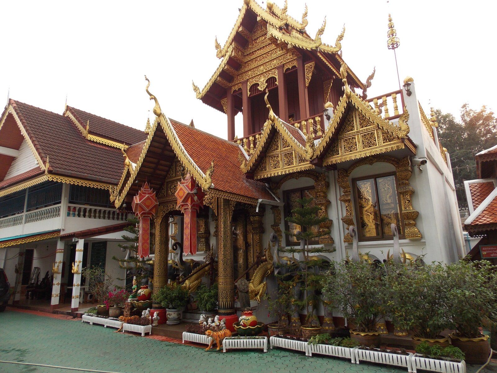 DSCN0775.JPG