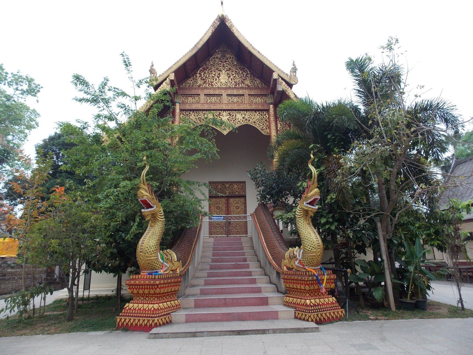 DSCN0910.JPG