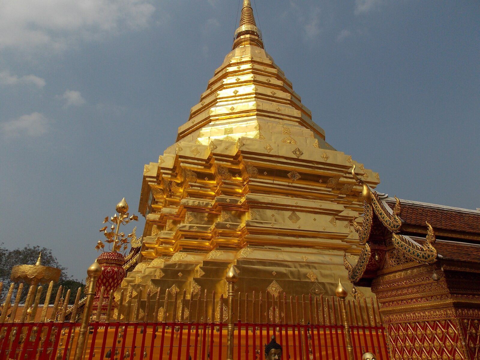 DSCN1017.JPG