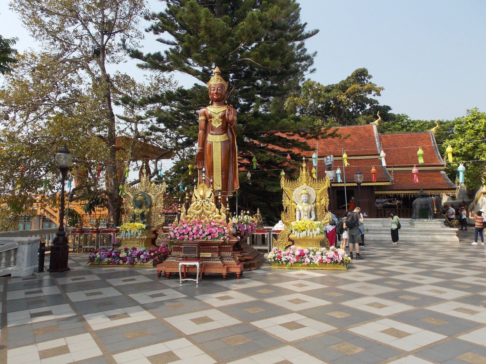 DSCN1035.JPG