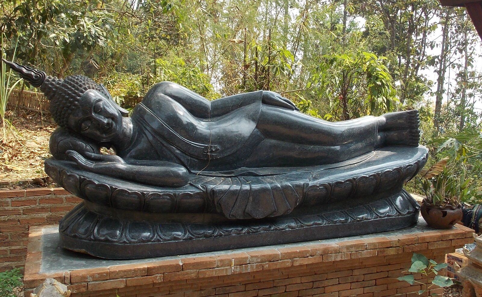 DSCN1077.JPG