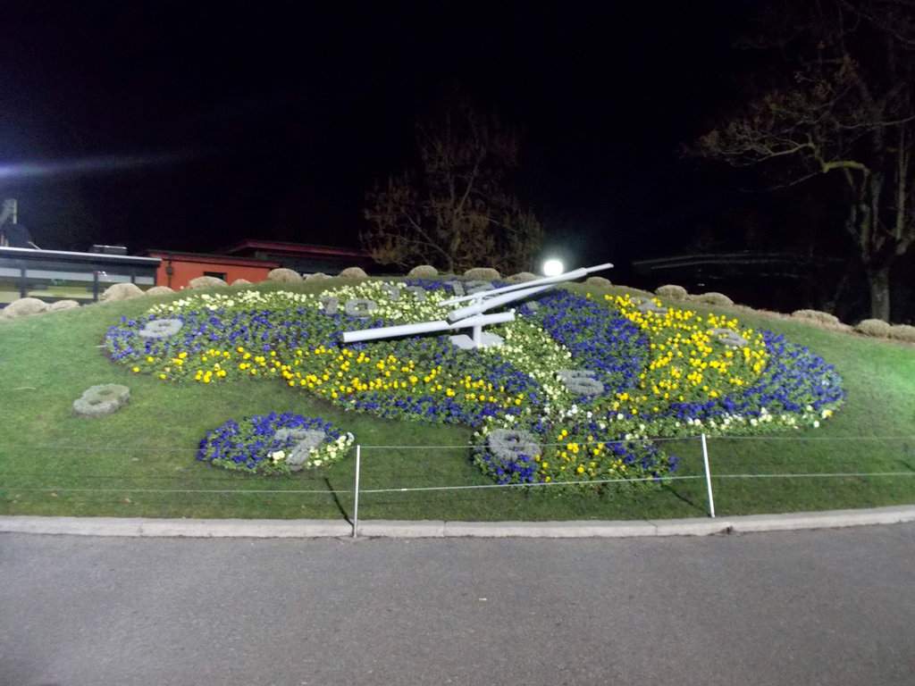 DSCN1270