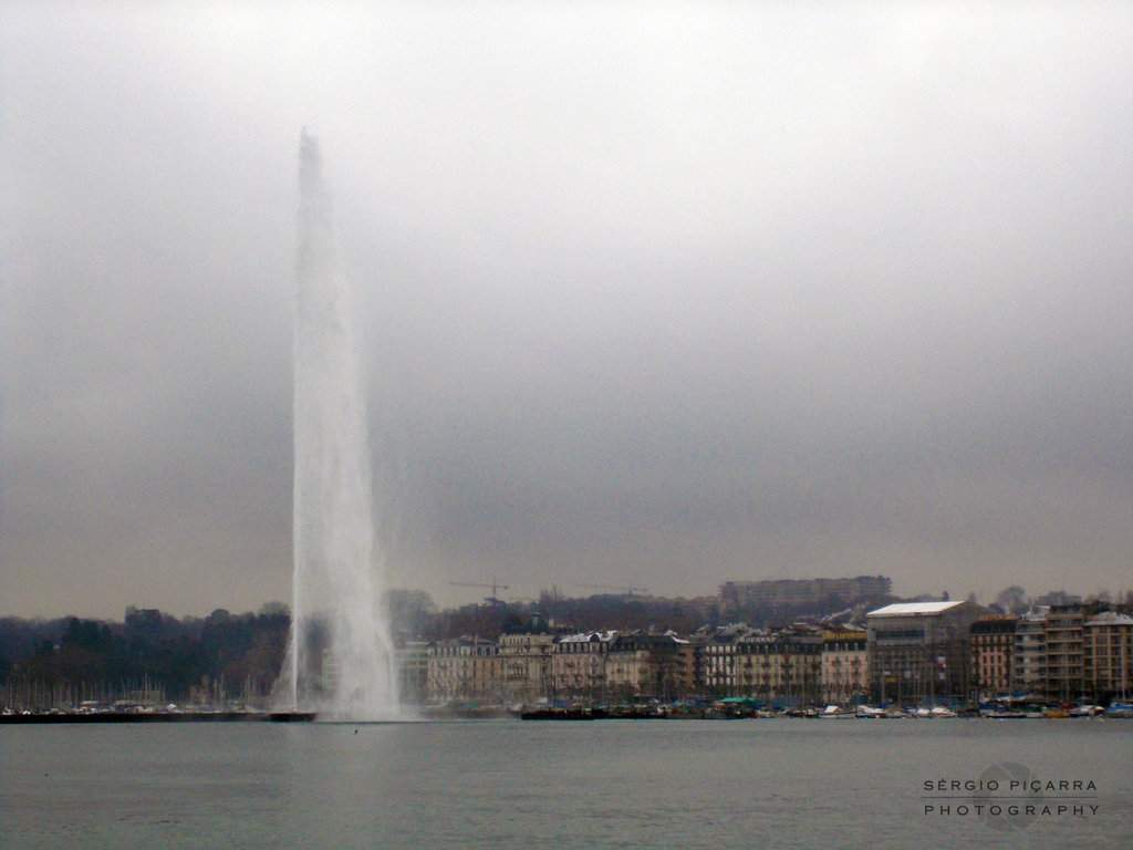 DSCN1288